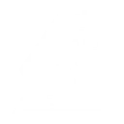 Ape Framework logo