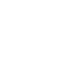 Snapshot logo