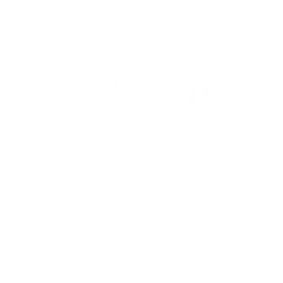 Viem logo