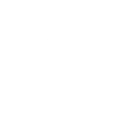 Wagmi logo